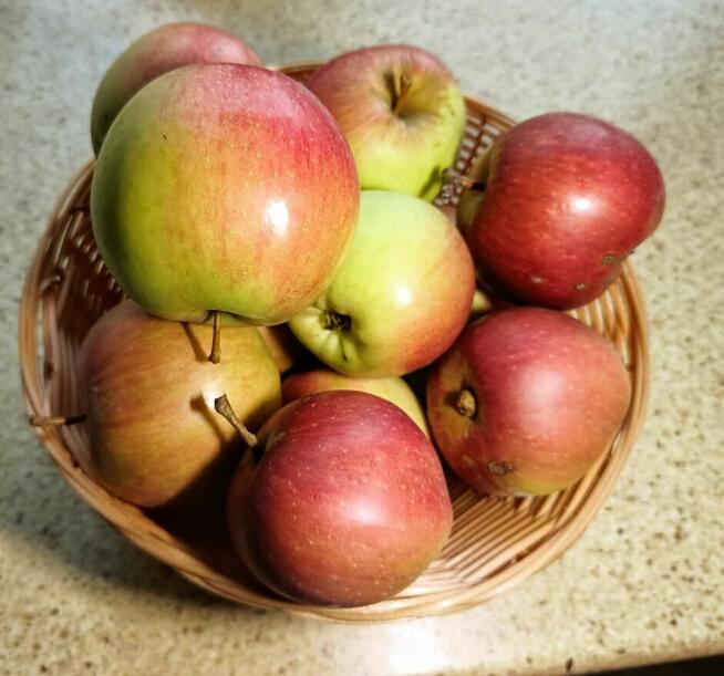 Gruszki klapsa cena 1,50 zł.Jabłka champion cena 1,50 zł