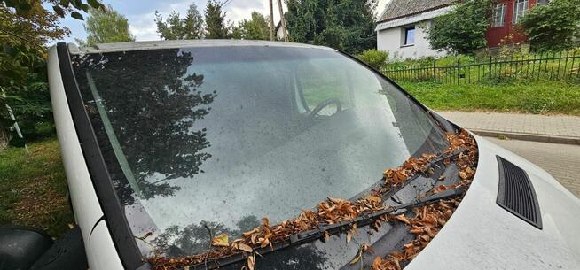 Syndyk sprzeda samochód ciężarowy Renault Trafic