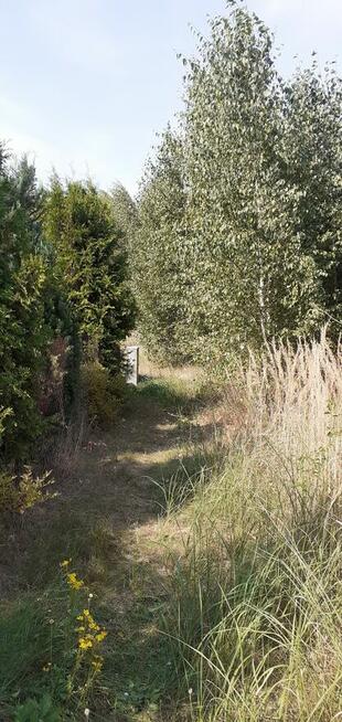 Działka rekreacyjna nad jeziorem (963 m2, prąd, woda) Chodecz