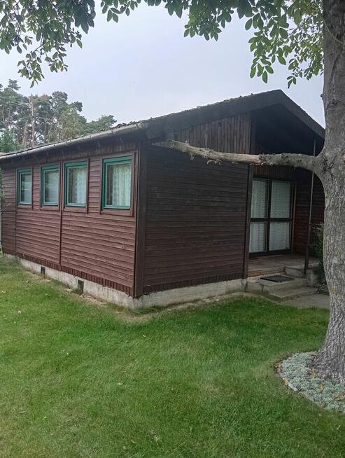 Sprzedam działkę ROD