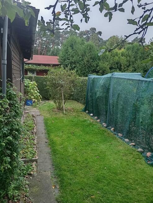 Sprzedam działkę ROD