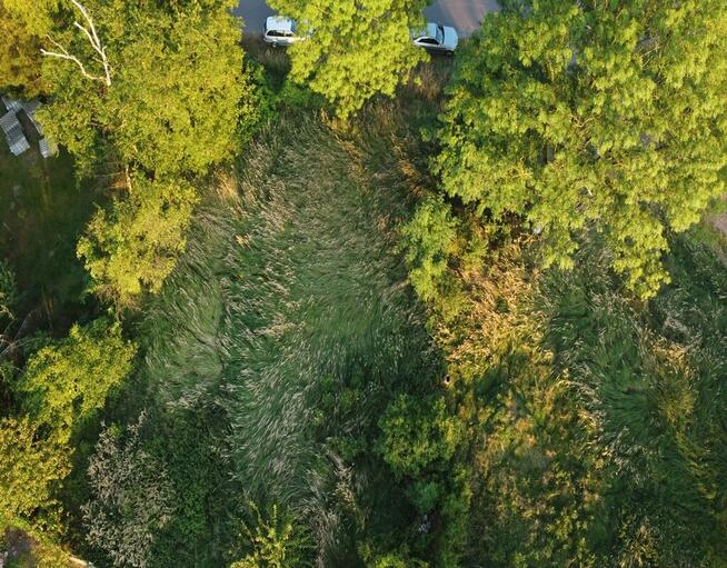 Działka w Bodzęcinie