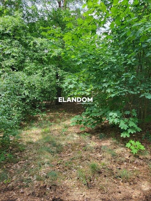 działka leśna Józefów