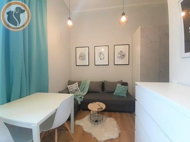 Wynajmę kawalerkę przyjazną zwierzętom, 3 Maja 33