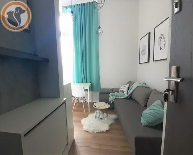 Wynajmę kawalerkę przyjazną zwierzętom, 3 Maja 33