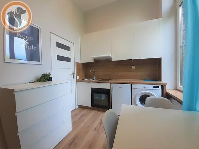 Wynajmę kawalerkę przyjazną zwierzętom, 3 Maja 33