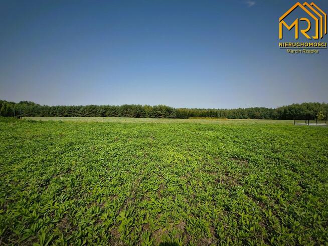 Działka rolno-budowlana Jodłówka-Wałki gm. Tarnów