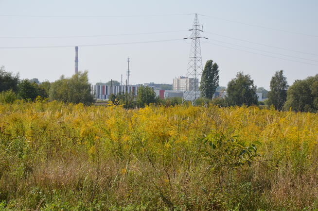 Działka Lublin-Zadębie inwestycyjna/budowlana