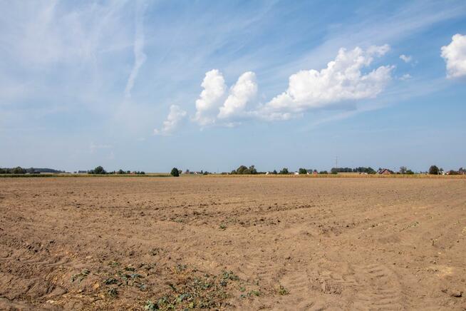 Działka usługowa Ciasna Nowy Dwór,