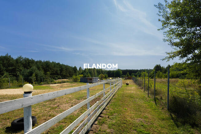 Piękny parterowy dom działka 1ha do wprowadzenia