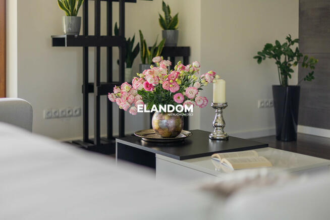 Piękny parterowy dom działka 1ha do wprowadzenia