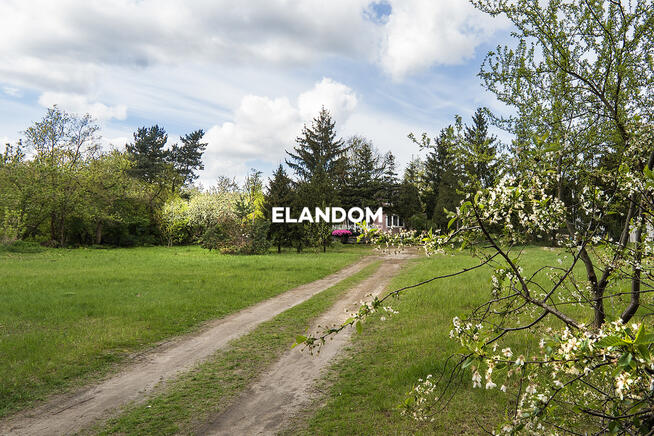 Dom z działką blisko lasu