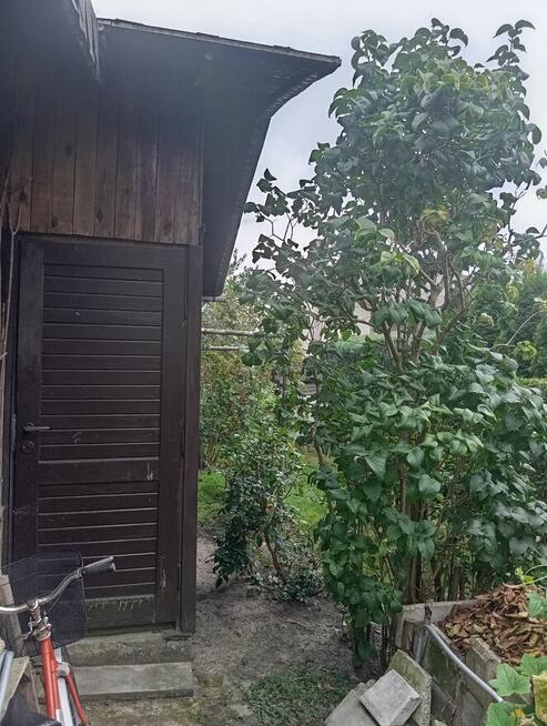 Sprzedam działkę ROD