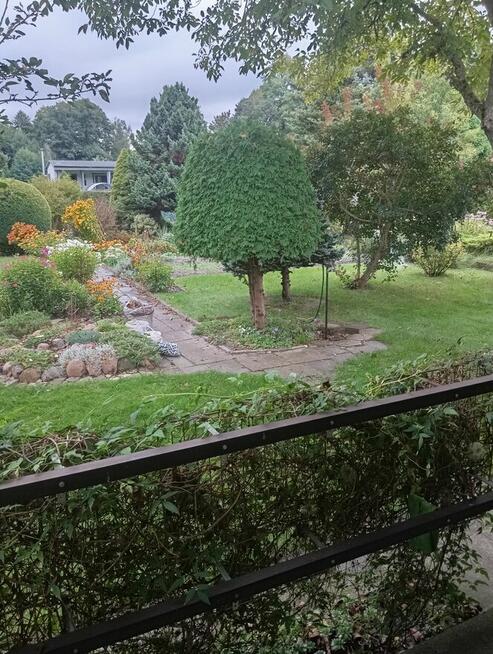 Sprzedam działkę ROD