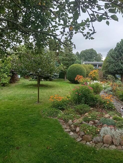 Sprzedam działkę ROD