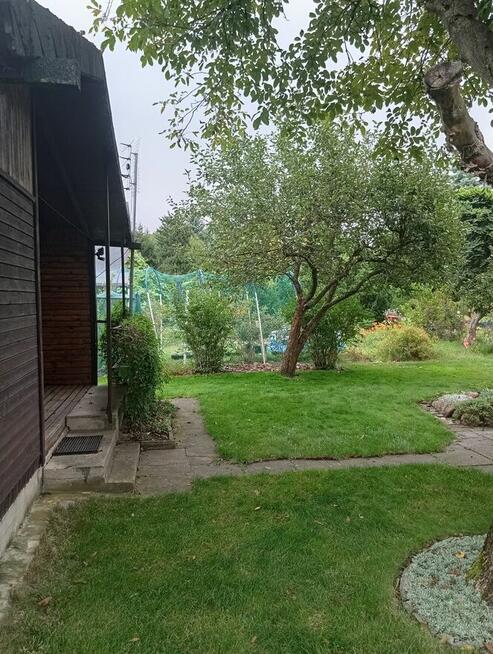 Sprzedam działkę ROD