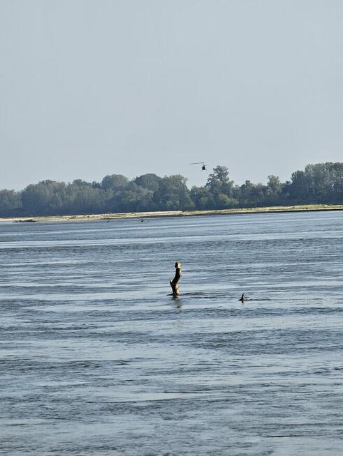 Zabiorę ma plaże w Nieporęcie lub na wyspy Świderskie