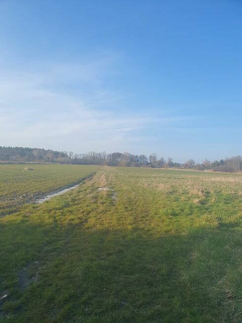 Działka budowlana Duchnów gm. Wiązowna