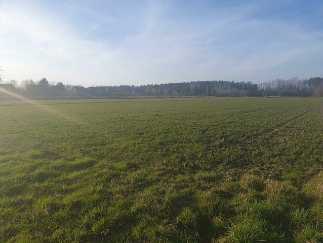 Działka budowlana Duchnów gm. Wiązowna