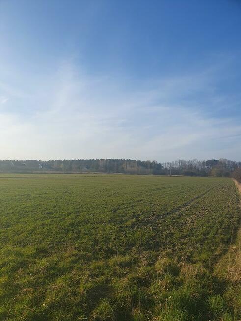 Działka budowlana Duchnów gm. Wiązowna