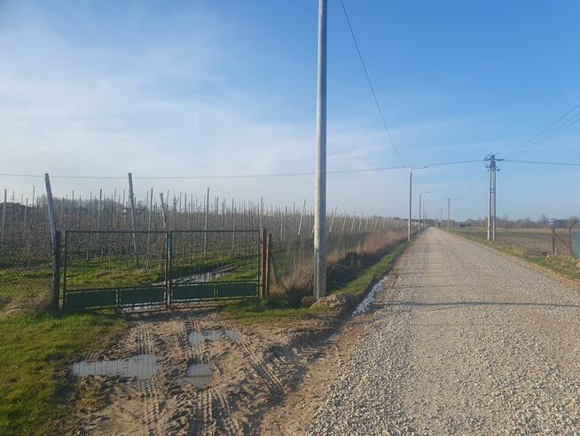 Działka budowlana Duchnów gm. Wiązowna, Spacerowa