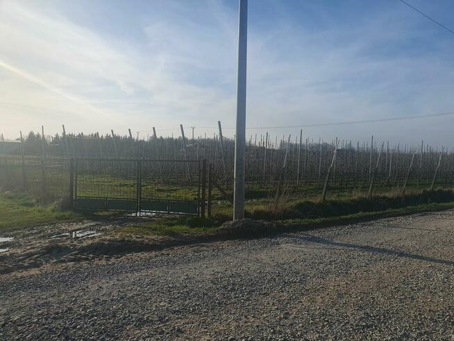 Działka budowlana Duchnów gm. Wiązowna, Spacerowa