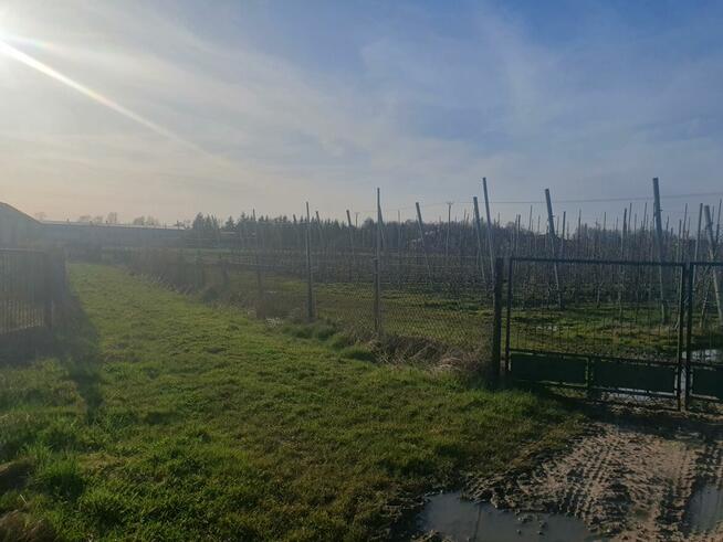 Działka budowlana Duchnów gm. Wiązowna, Spacerowa