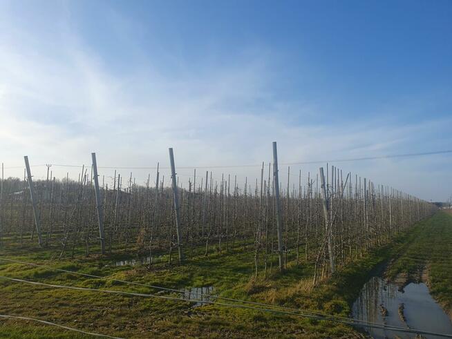 Działka budowlana Duchnów gm. Wiązowna, Spacerowa