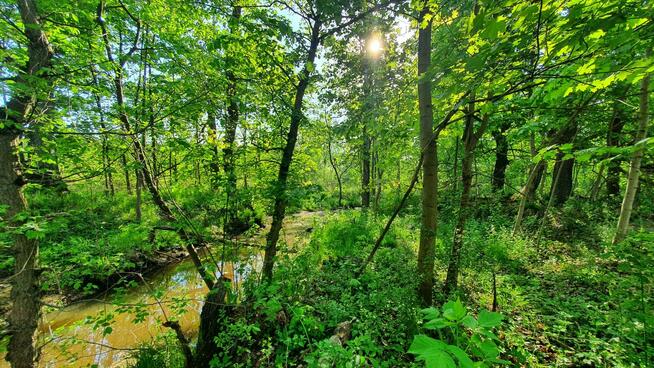 Działka budowlana Wiązowna