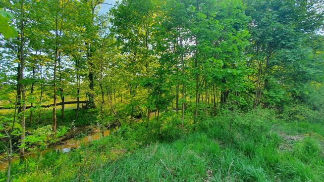 Działka budowlana Wiązowna