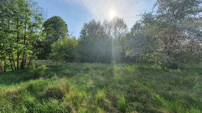 Działka budowlana Wiązowna