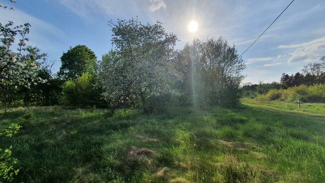 Działka budowlana Wiązowna