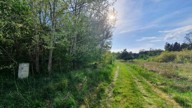 Działka budowlana Wiązowna