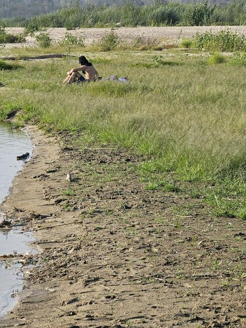 Zabiorę ma plaże w Nieporęcie lub na wyspy Świderskie