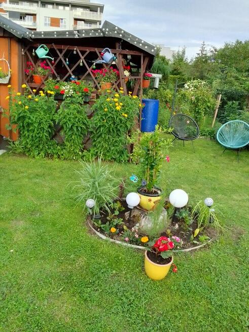 Sprzedam Działkę Rekreacyjną