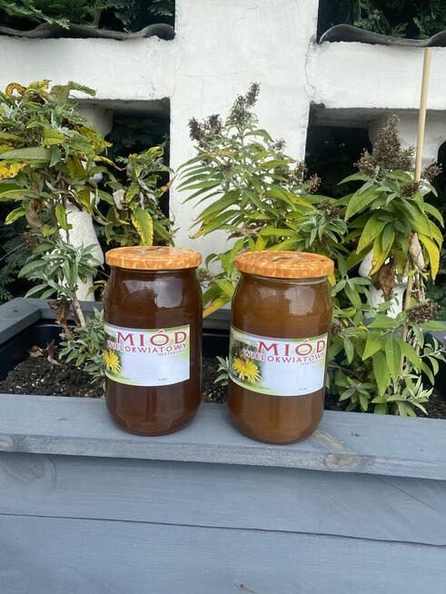 Sprzedam miód
