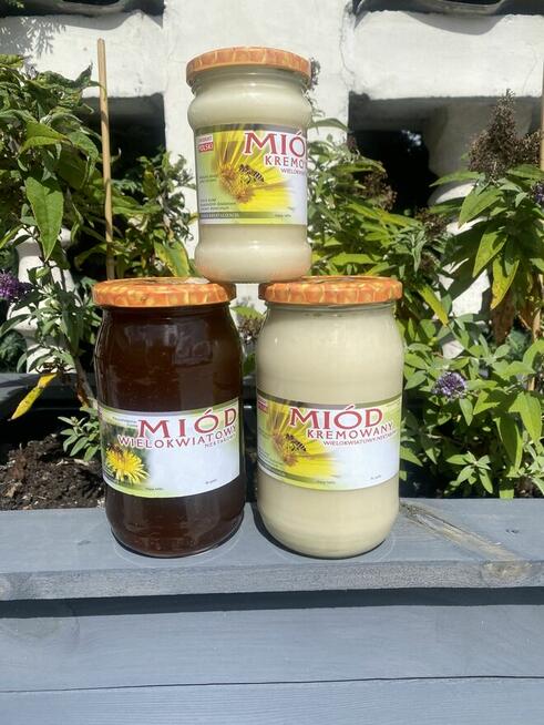 Sprzedam miód