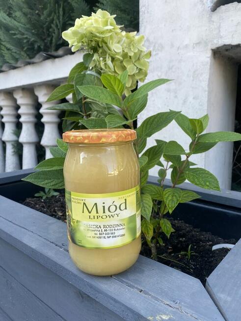 Sprzedam miód
