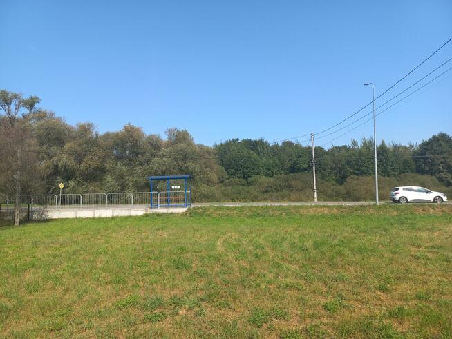 Dzialka budowlano uslugowa pod lasem