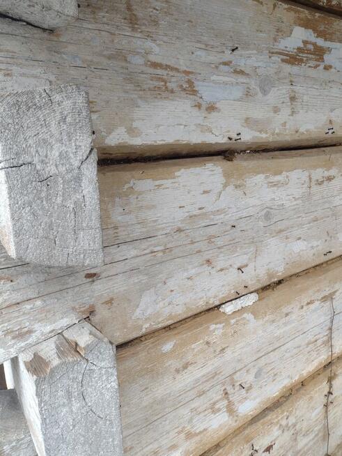 Drewniany dom do przeniesienia