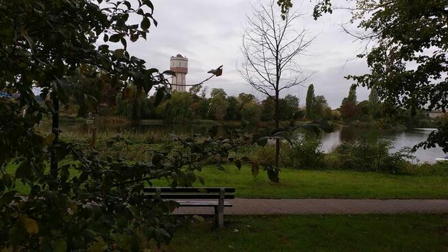 Sprzedam dom w Kruszwicy nad Jeziorem Gopło