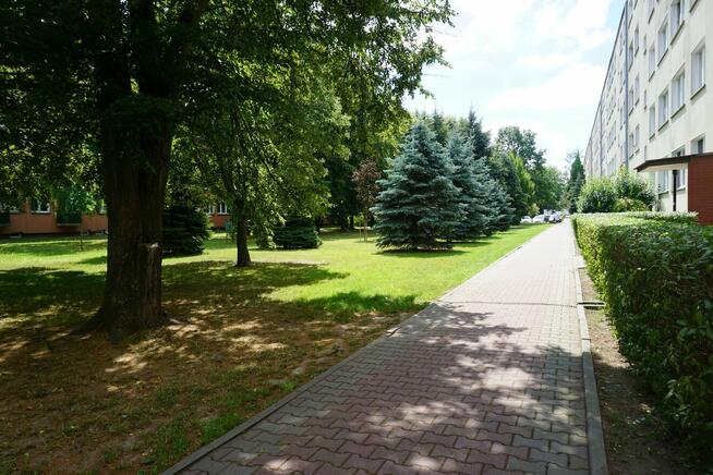 OKAZJA Ursus Zagłoby