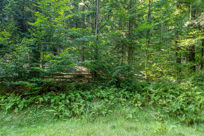 Targoszów - działka budowlana u stóp Leskowca