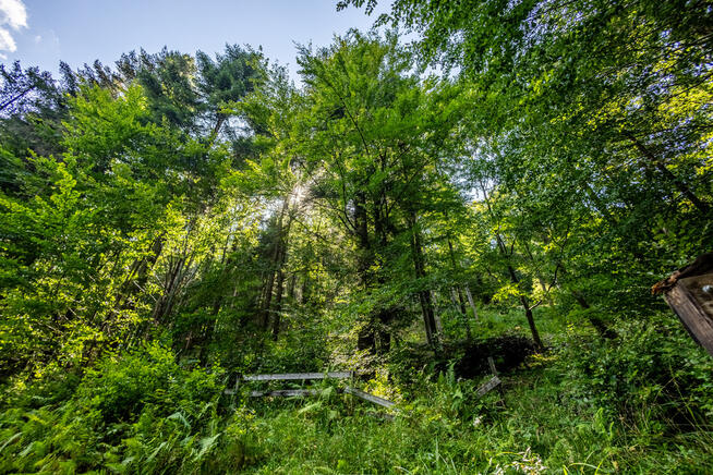 Targoszów - działka budowlana u stóp Leskowca