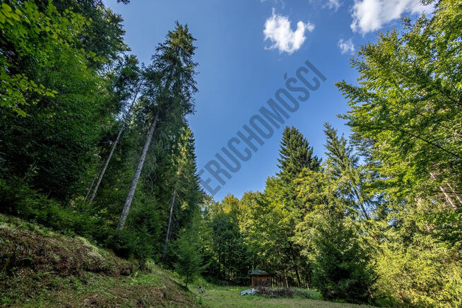 Targoszów - działka budowlana u stóp Leskowca