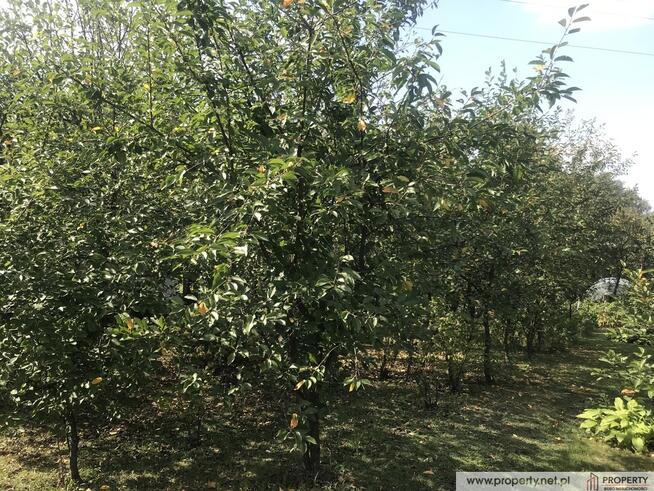 Działka, 9 ar z domkiem, " ROD Jedność", Dębica