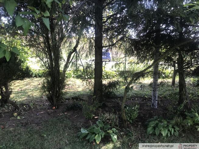 Działka, 9 ar z domkiem, " ROD Jedność", Dębica