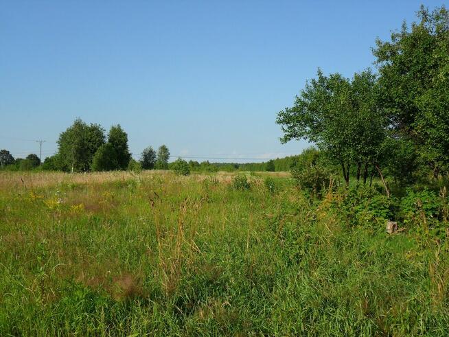 Dom z dużą działką w Łukowie sprzedam Cena do uzgodnienia