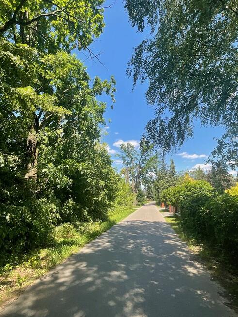 Sprzedam leśną działkę. Działka rolna o pow. 2 742 m²