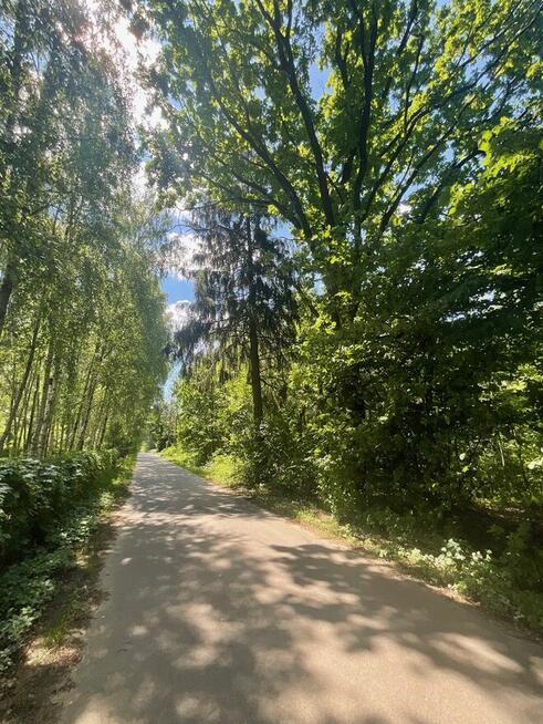 Sprzedam leśną działkę. Działka rolna o pow. 2 742 m²